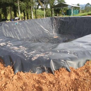 Bạt lót hồ cá Koi HDPE
