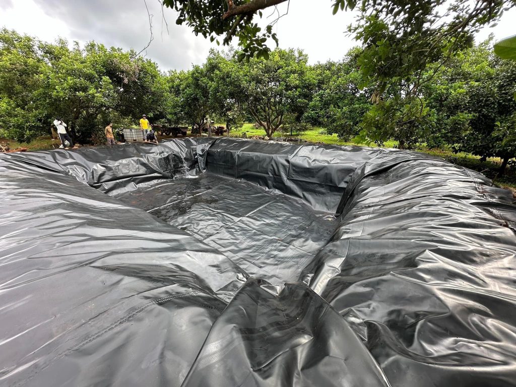 Bạt lót hồ cá Koi HDPE Bạt lót hồ cá Koi HDPE