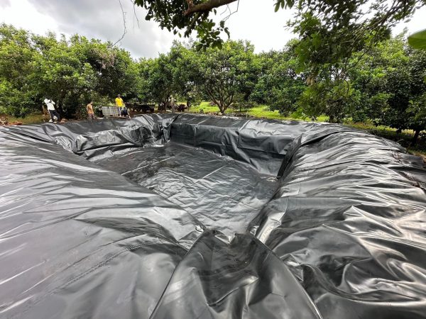 Bạt lót hồ cá Koi HDPE