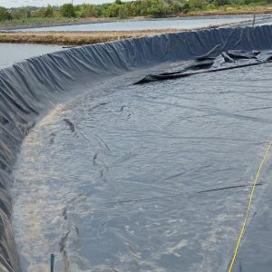 Bạt lót ao hồ chứa nước