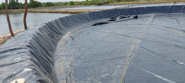 Bạt lót ao hồ chứa nước