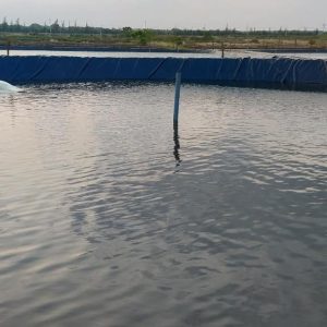 Bạt lót ao hồ chứa nước