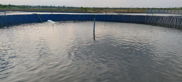 Bạt lót ao hồ chứa nước