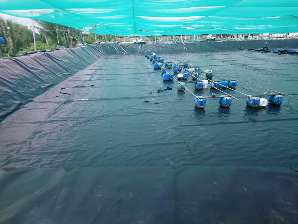 Bạt lót ao hồ nuôi tôm HDPE tại Gia Lai Bạt lót ao hồ nuôi tôm HDPE tại Gia Lai