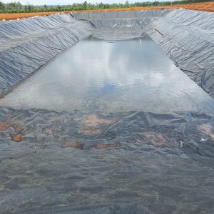 Bạt chứa nước, trữ nước HDPE