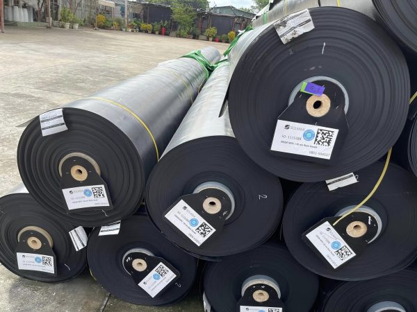 Bạt chống thấm sân thượng, mái nhà HDPE