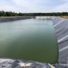 Bạt nhựa đen 2 mặt hDPE lót ao hồ
