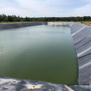 Bạt nhựa đen 2 mặt hDPE lót ao hồ