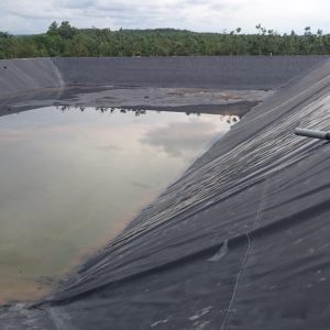 Bạt nhựa đen 2 mặt hDPE lót ao hồ