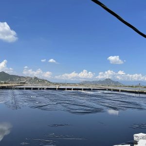 Bạt lót ao hồ nuôi tôm HDPE