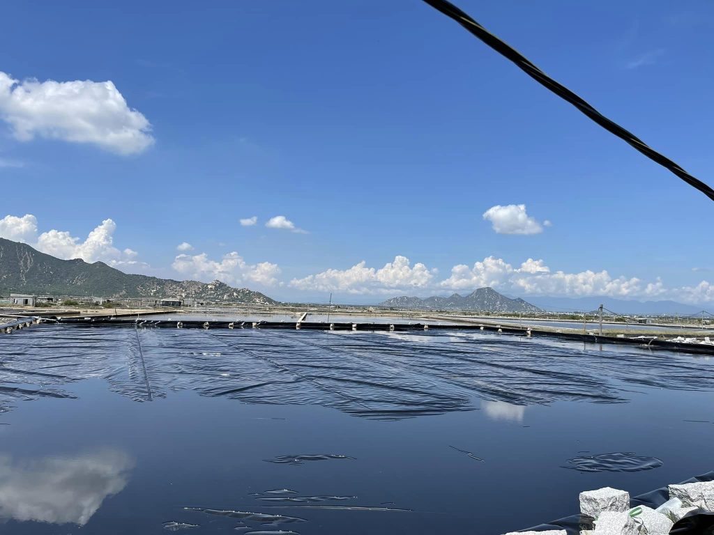 Bạt nhựa đen 2 mặt lót ao hồ