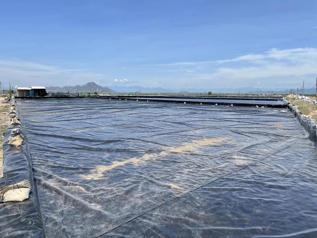 Bạt lót ao hồ nuôi tôm HDPE Bạt lót ao hồ nuôi tôm HDPE