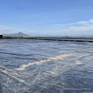 Bạt lót ruộng muối HDPE