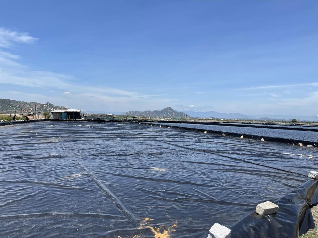 Bạt lót ao hồ HDPE