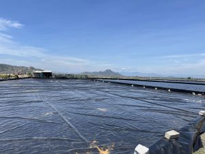 Bạt lót ao hồ nuôi tôm cá HDPE ở Tây Ninh