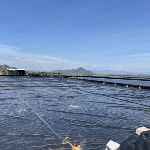 Bạt lót ruộng muối HDPE
