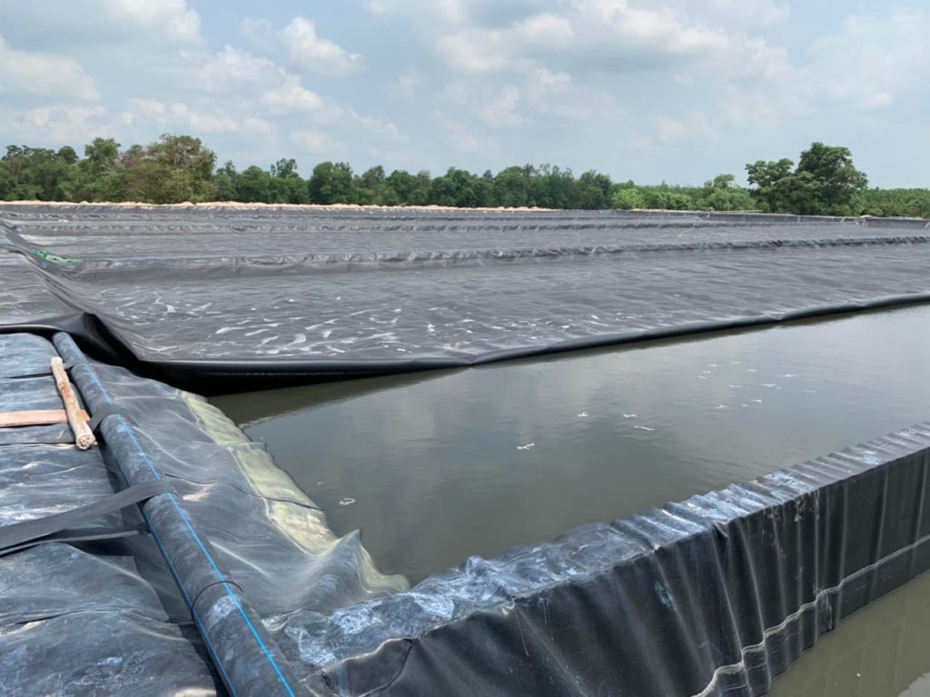 Bạt lót ao hồ HDPE