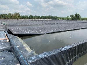 Bạt lót ao hồ chứa nước nuôi tôm cá HDPE ở Tây Ninh