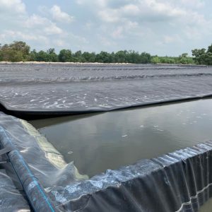 Bạt lót ao hồ HDPE