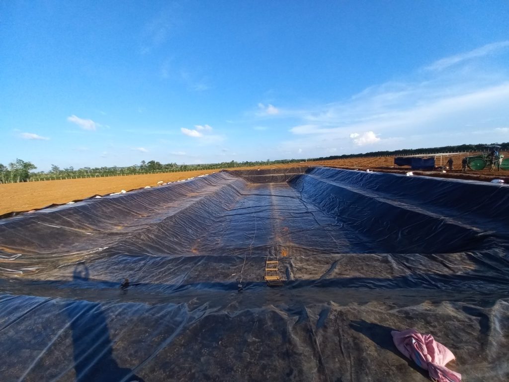 Bạt nhựa HDPE lót ao hồ