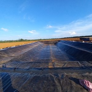 Bạt nhựa đen 2 mặt hDPE lót ao hồ