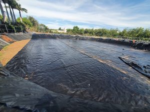 Bạt lót ao hồ nuôi tôm cá HDPE ở Bạc Liêu