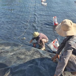 Thi công trải bạt HDPE lót ao hồ