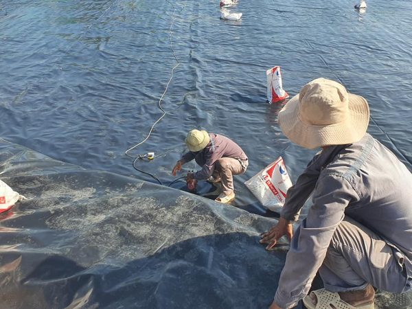 Thi công trải bạt HDPE lót ao hồ