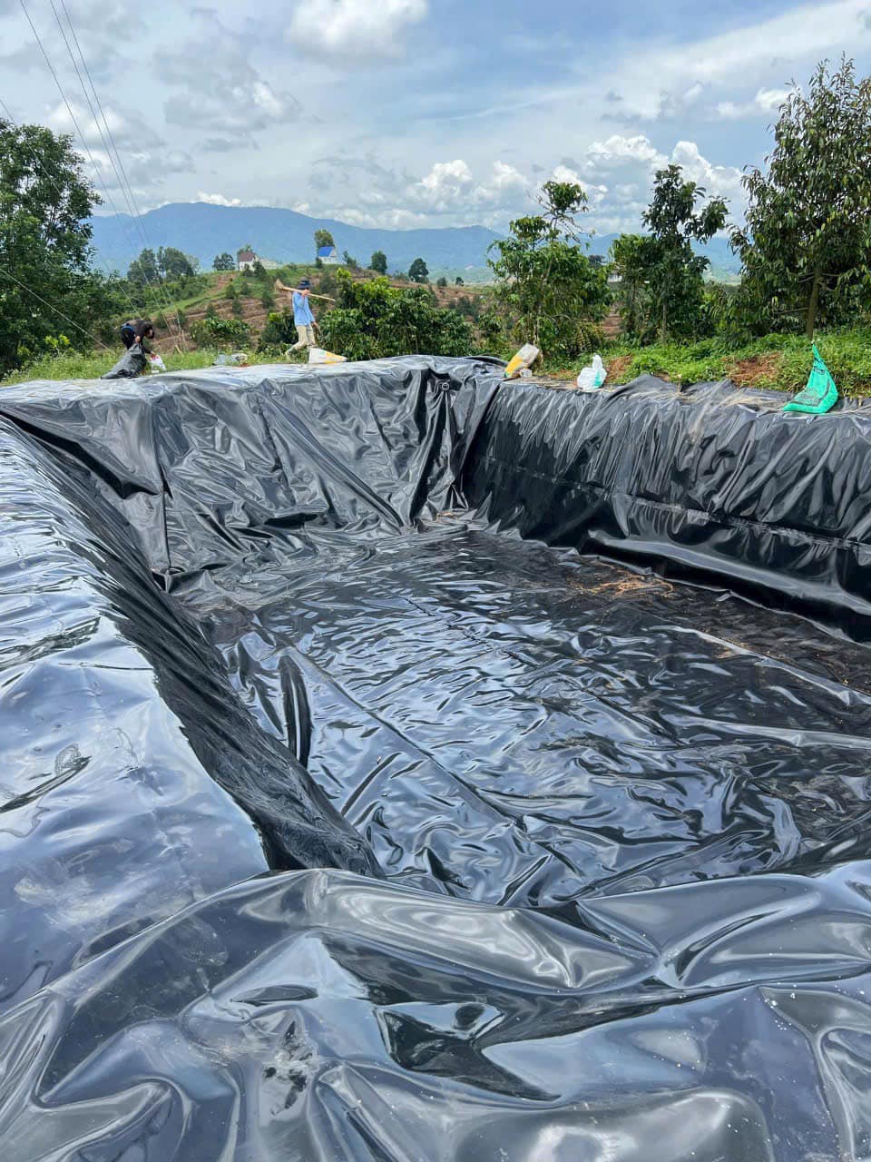 Bạt lót hồ sen, hồ súng HDPE Bạt lót hồ sen, hồ súng HDPE