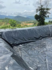Bạt lót hồ chứa nước tưới cây nuôi tôm cá HDPE ở Pleiku