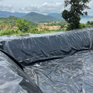 Bạt lót hồ sen, hồ súng HDPE
