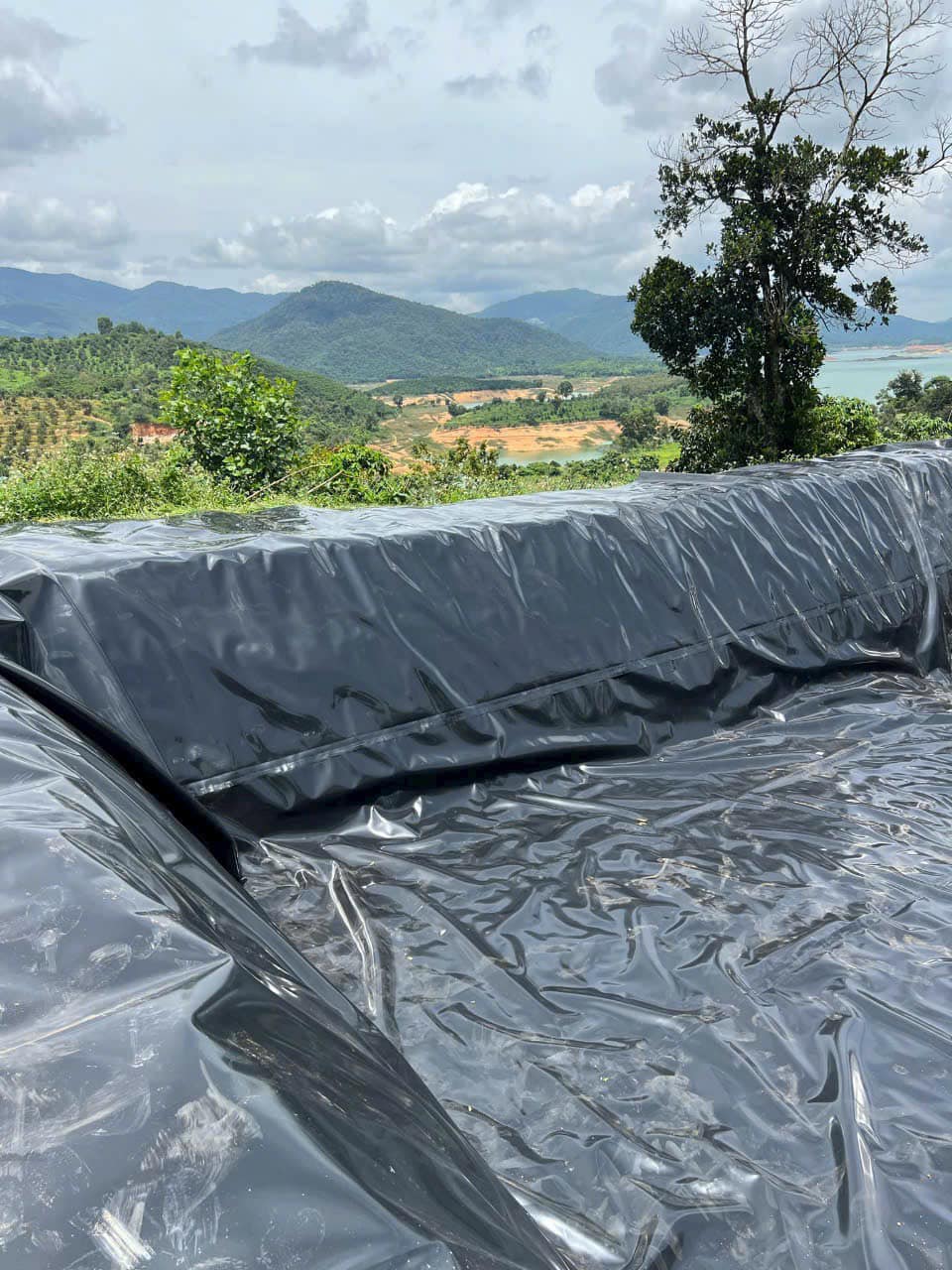 Bạt lót hồ sen, hồ súng HDPE Bạt lót hồ sen, hồ súng HDPE