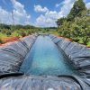 Bạt lót hồ sen, hồ súng HDPE