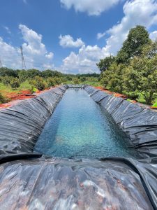 Bạt lót hồ sen, hồ súng HDPE Bạt lót hồ sen, hồ súng HDPE