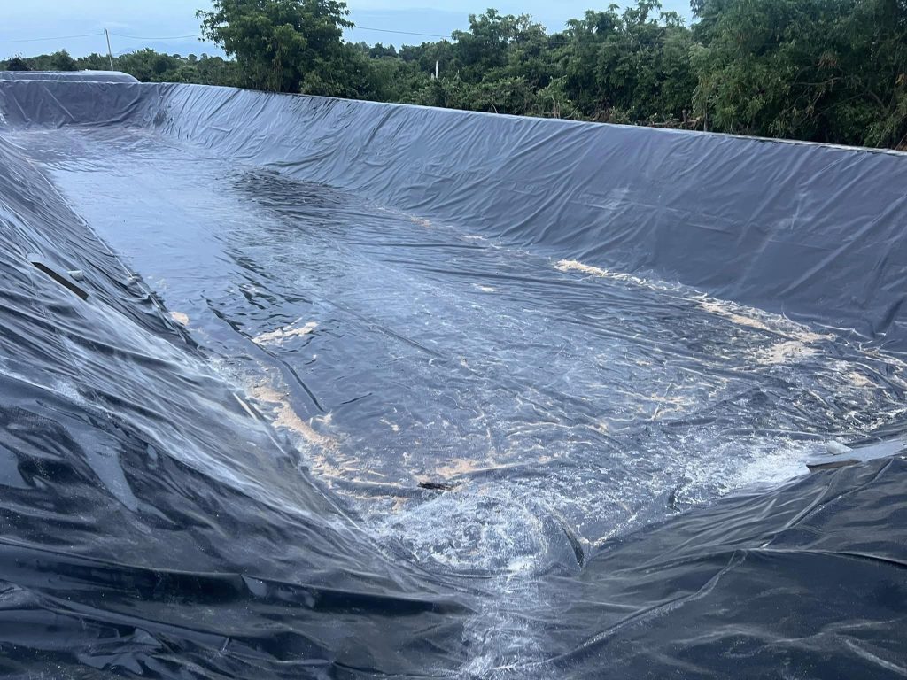 Bạt lót hồ sen, hồ súng HDPE Bạt lót hồ sen, hồ súng HDPE