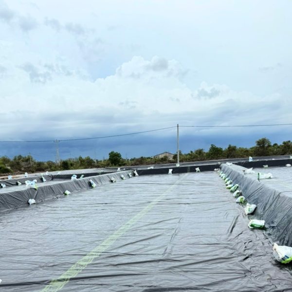 Bạt lót ruộng muối HDPE