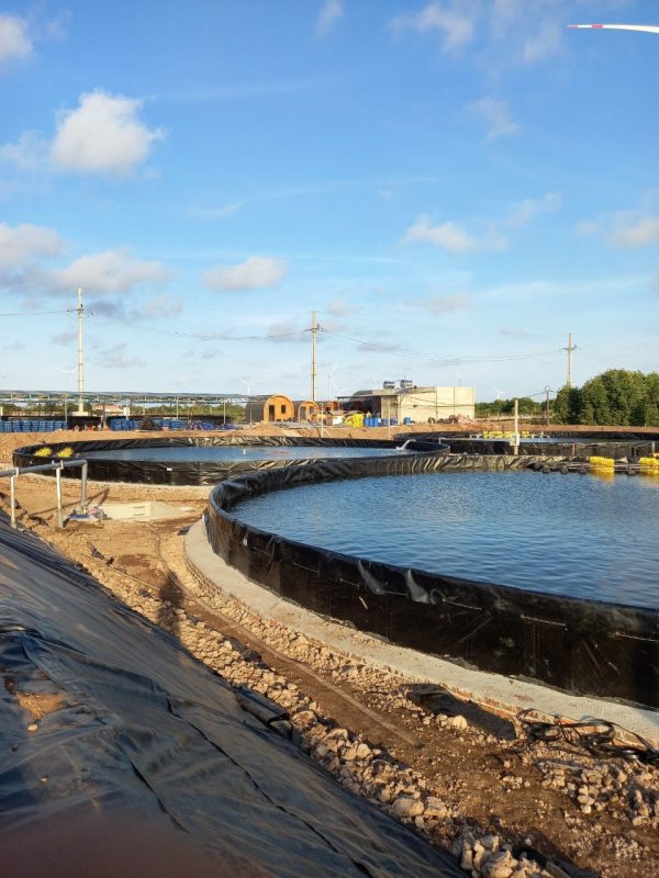 Bể tròn nuôi cá lươn ốc ếch HDPE