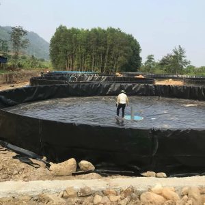 Bể tròn nuôi cá lươn ốc ếch HDPE