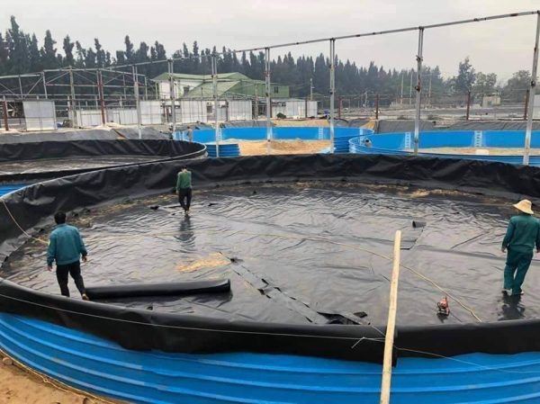 Bể bạt HDPE nuôi cá lươn, ốc, ếch
