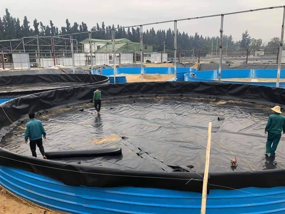 Bể bạt HDPE nuôi cá lươn, ốc, ếch Bể bạt HDPE nuôi cá lươn, ốc, ếch