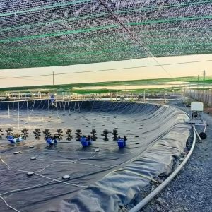 Bể bạt HDPE nuôi cá lươn, ốc, ếch
