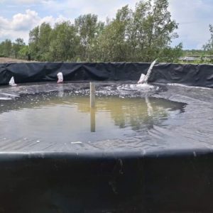 Bể hồ nổi bạt HDPE nuôi cá lươn ốc ếch