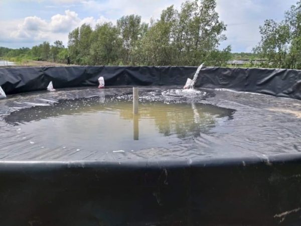 Bể hồ nổi bạt HDPE nuôi cá lươn ốc ếch