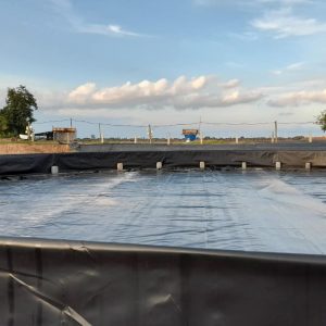 Bể hồ nổi bạt HDPE nuôi cá lươn ốc ếch