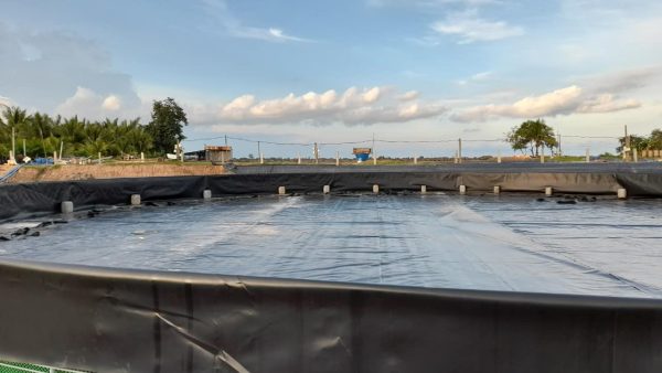 Bể hồ nổi bạt HDPE nuôi cá lươn ốc ếch