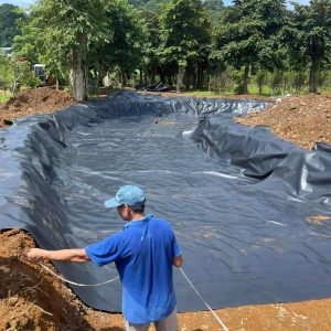 Lót hồ chứa nước bạt HDPE 0,3mm