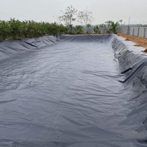 Lót hồ chứa nước bạt HDPE 0,3mm