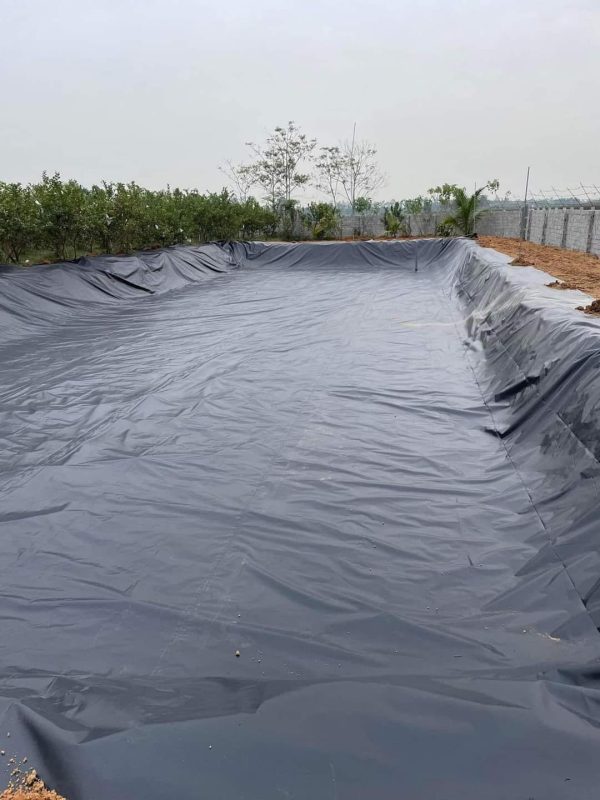 Lót hồ chứa nước bạt HDPE 0,3mm
