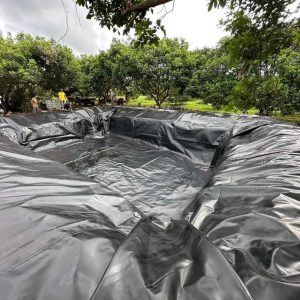 Lót hồ cảnh quan bạt nhựa HDPE dày 0,3mm