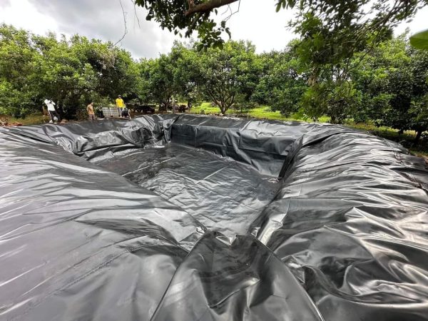 Lót hồ cảnh quan bạt nhựa HDPE dày 0,3mm